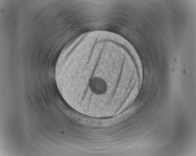 X0000077400048200611172115