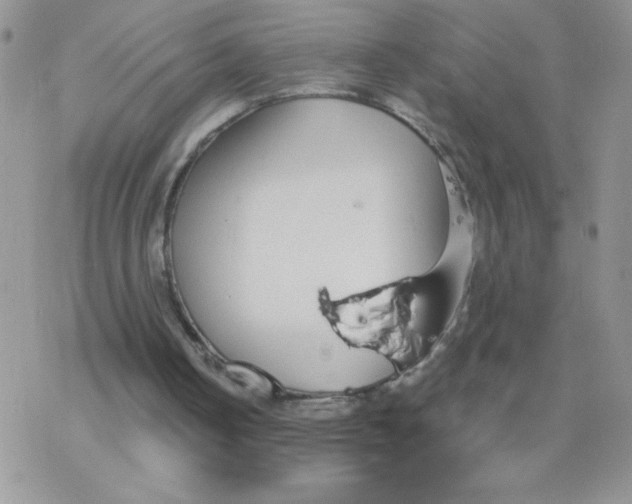 X0000077400050200611172114