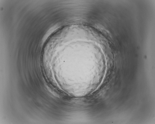 X0000077400051200611172114