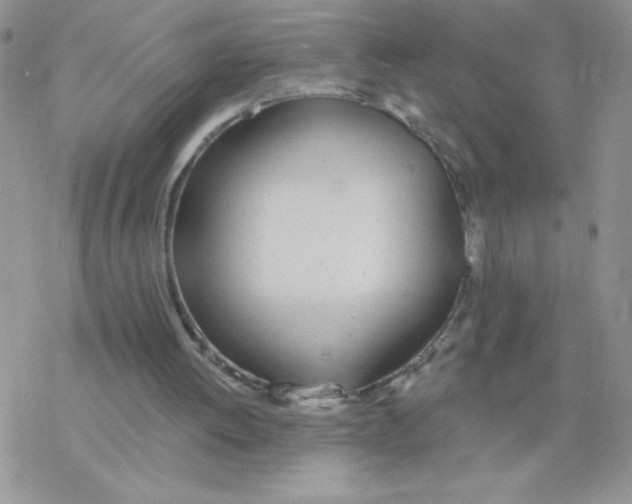 X0000077400052200611172114