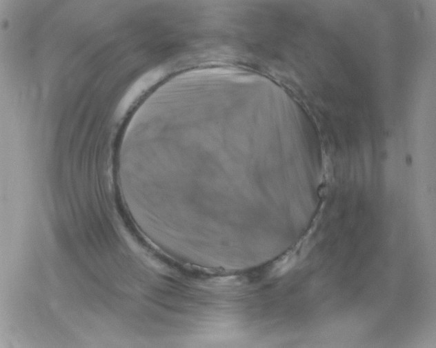 X0000077400054200611172114