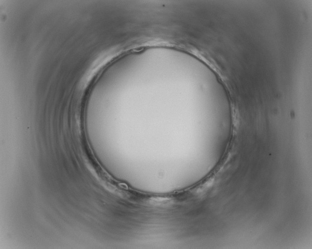 X0000077400055200611172114