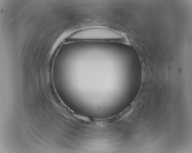 X0000077400056200611172114