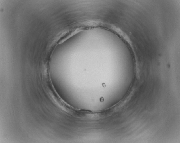 X0000077400057200611172114