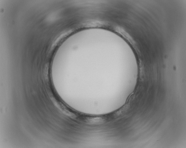 X0000077400058200611172114