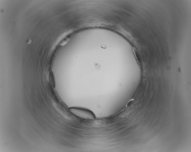 X0000077400060200611172114