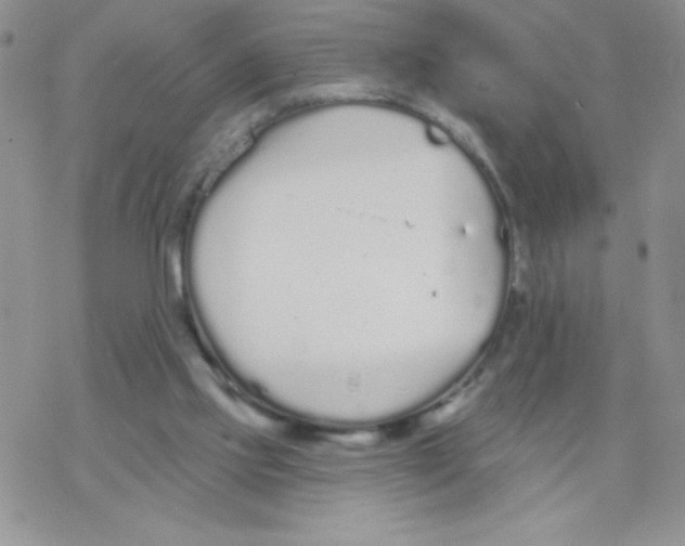 X0000077400061200611172114