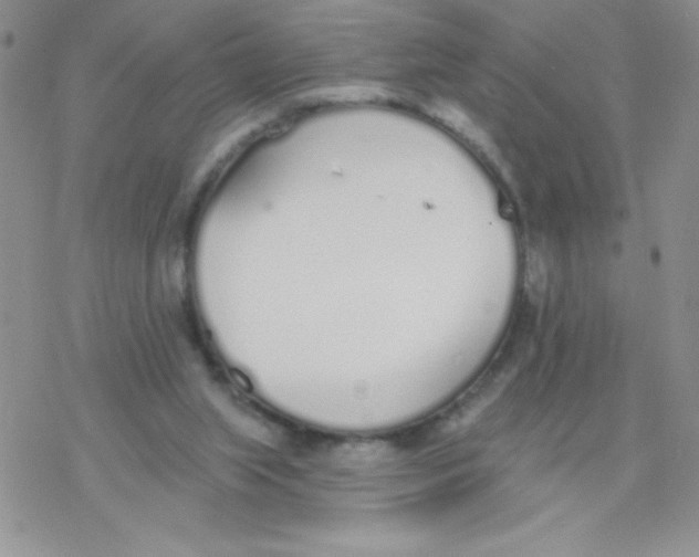 X0000077400063200611172114