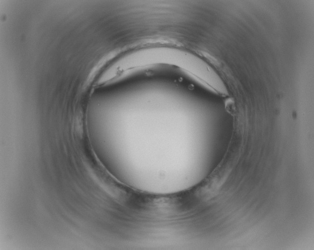 X0000077400064200611172114