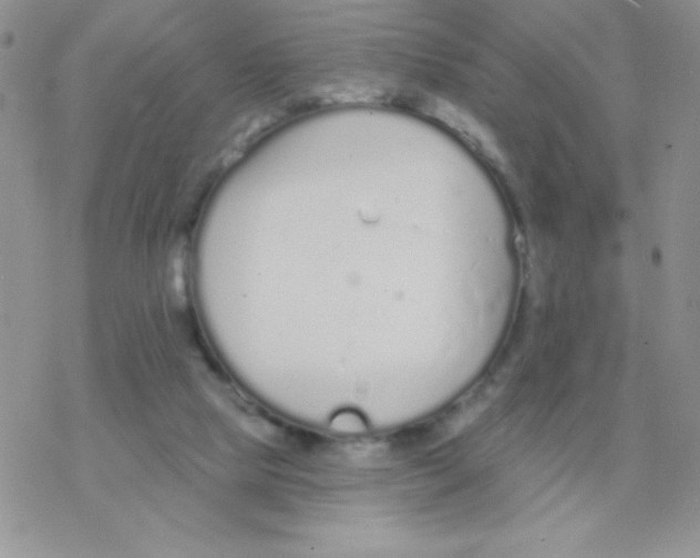 X0000077400065200611172114