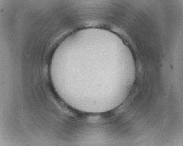 X0000077400066200611172114