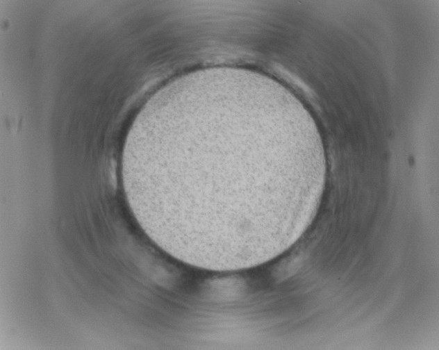 X0000077400067200611172114