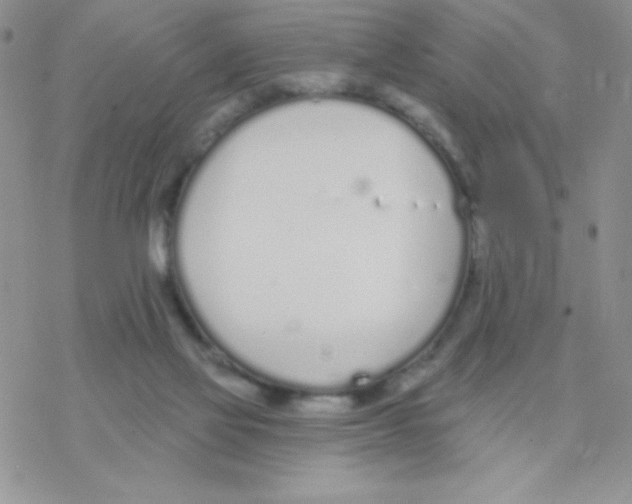 X0000077400069200611172114