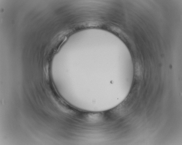 X0000077400070200611172114