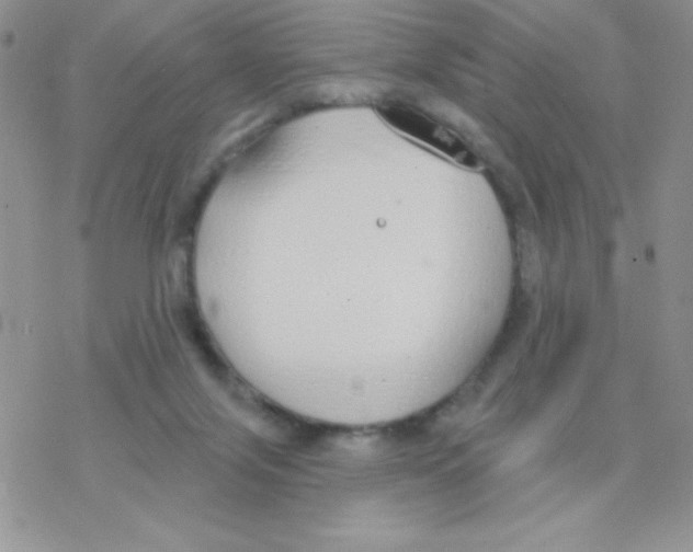 X0000077400071200611172114