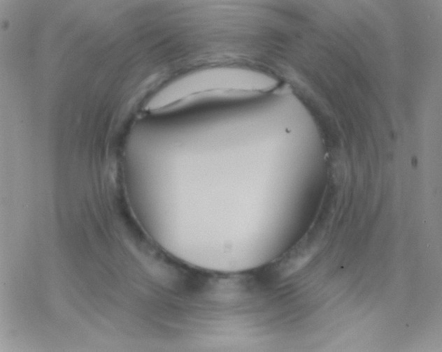 X0000077400072200611172114