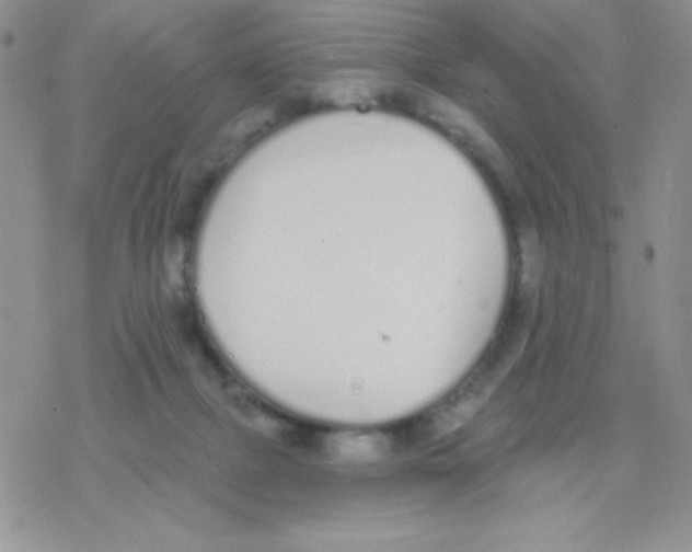 X0000077400073200611172114