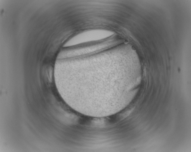 X0000077400076200611172114