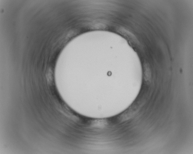 X0000077400077200611172114