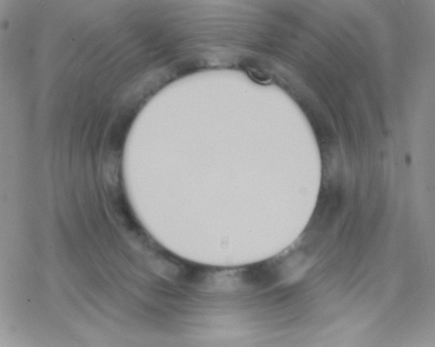 X0000077400078200611172114