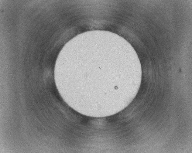 X0000077400079200611172115