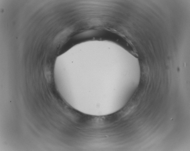 X0000077400080200611172115