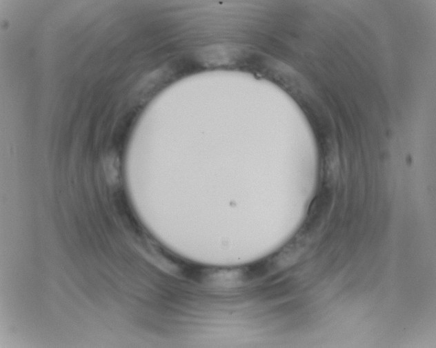 X0000077400081200611172115