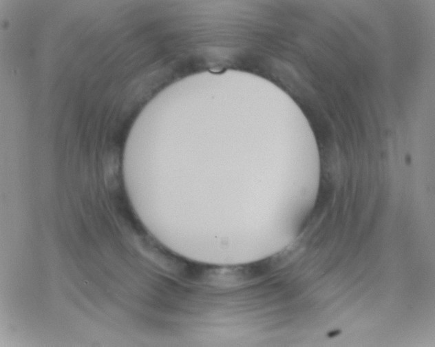 X0000077400082200611172115