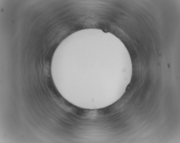 X0000077400083200611172115