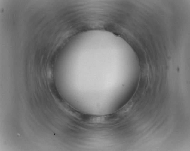 X0000077400084200611172115