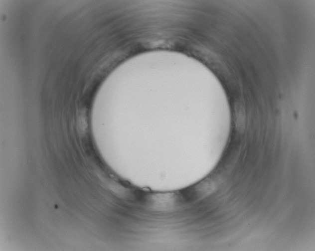 X0000077400085200611172115