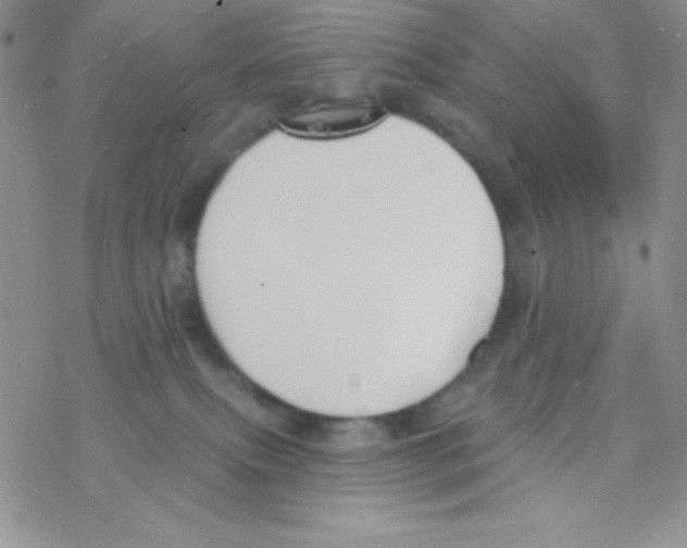 X0000077400087200611172115