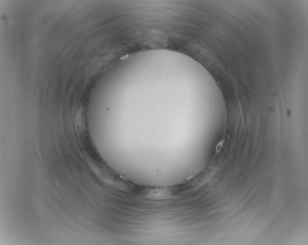 X0000077400088200611172115