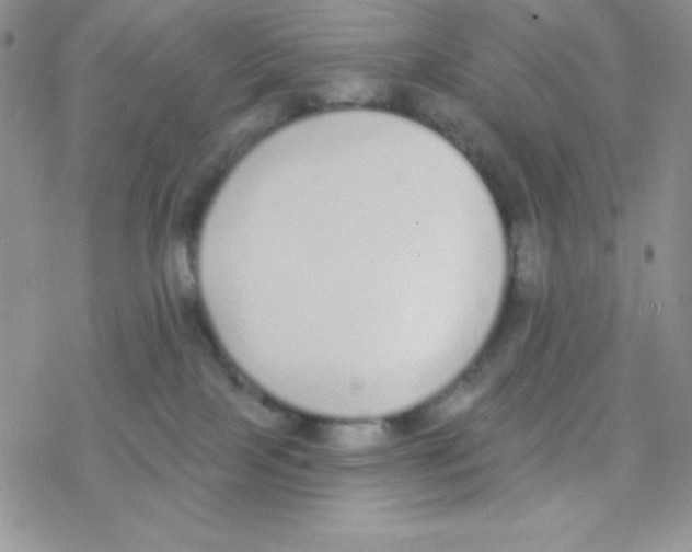 X0000077400089200611172115