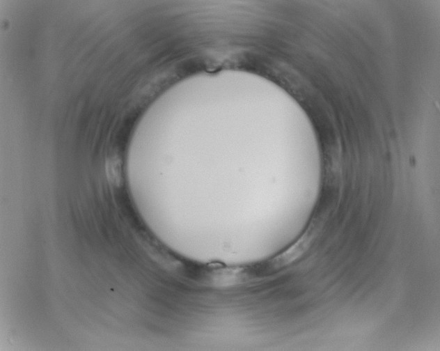 X0000077400090200611172115