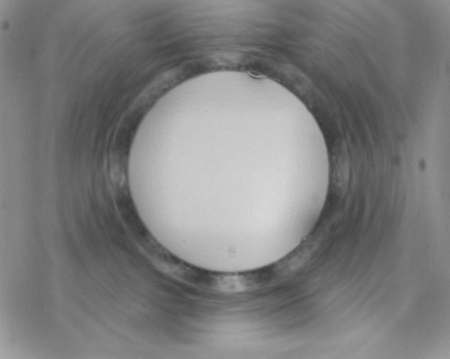 X0000077400091200611172115