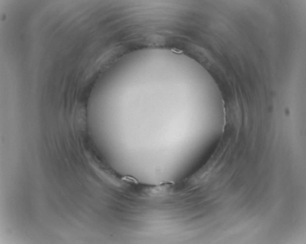 X0000077400092200611172115