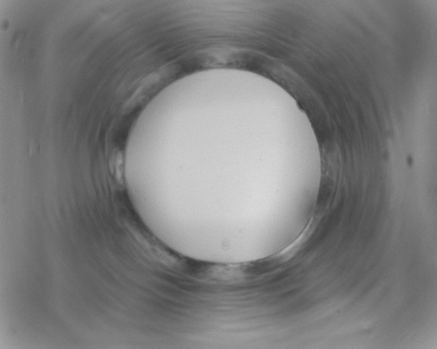 X0000077400094200611172115