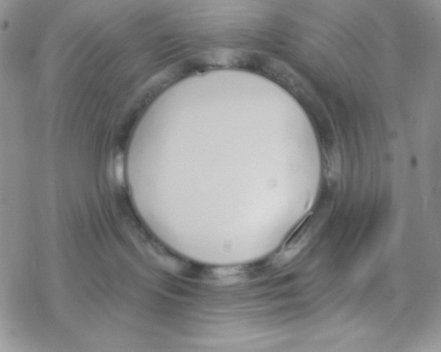 X0000077400095200611172115