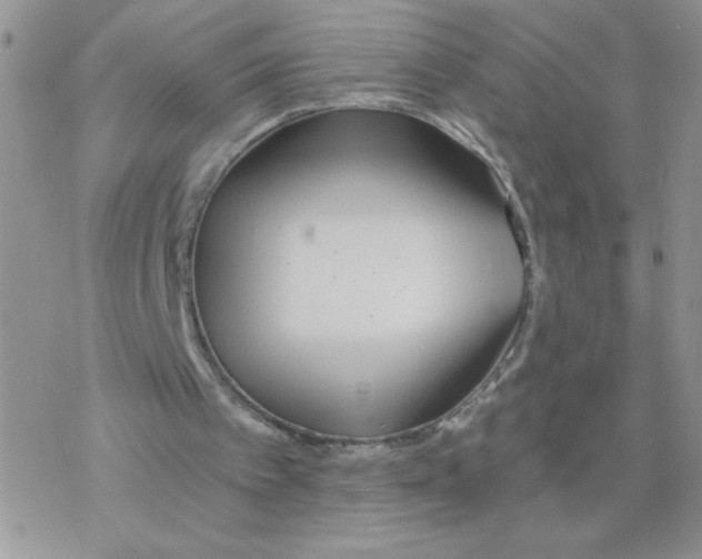 X0000077400097200611172114