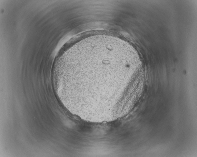 X0000077400099200611172114