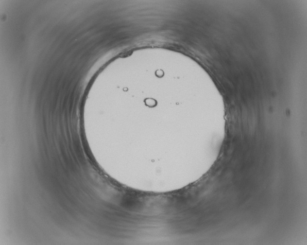 X0000077400100200611172114