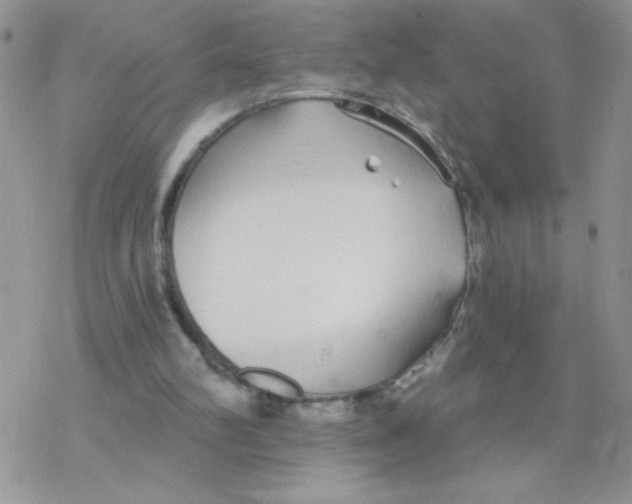 X0000077400102200611172114