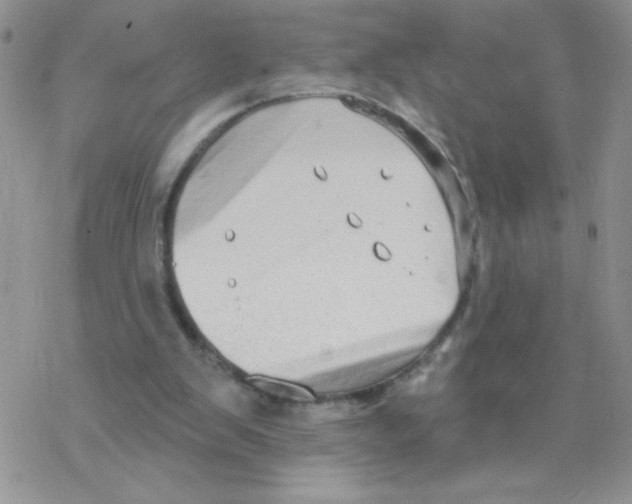 X0000077400103200611172114