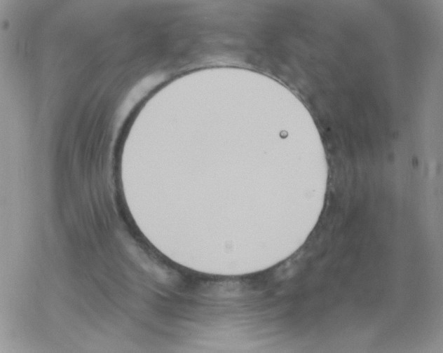 X0000077400104200611172114