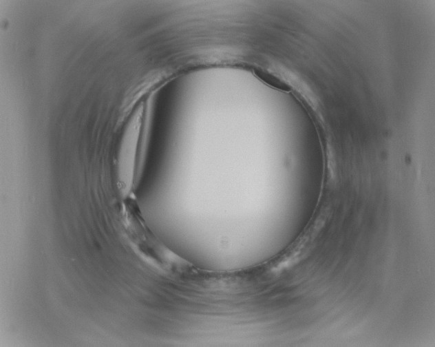 X0000077400105200611172114