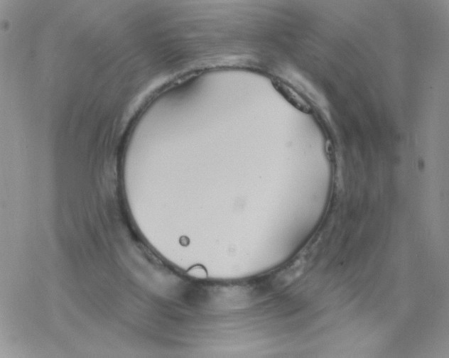 X0000077400107200611172114