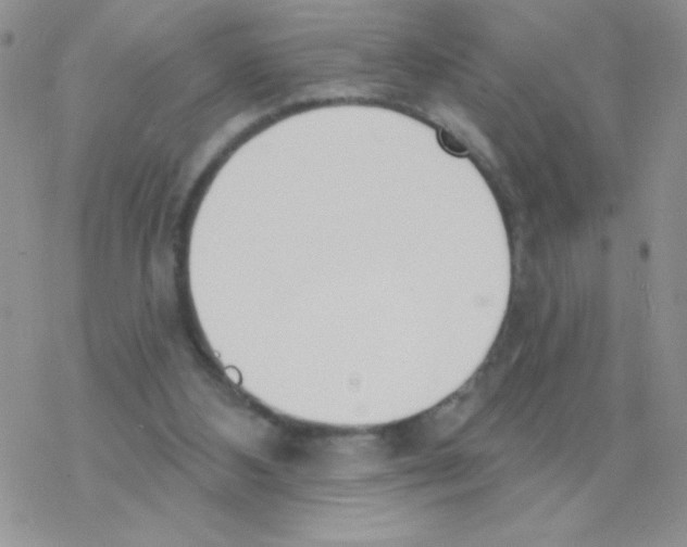 X0000077400108200611172114