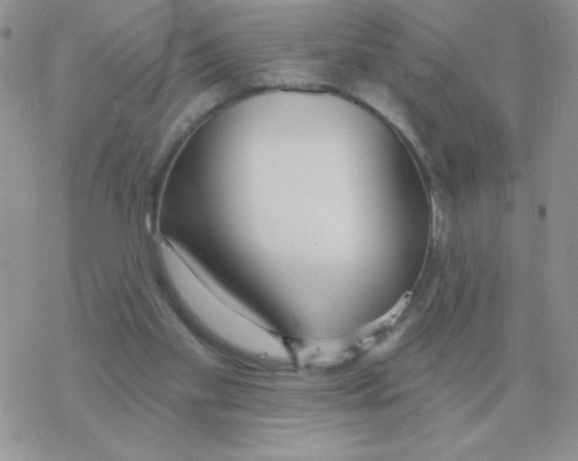 X0000077400109200611172114