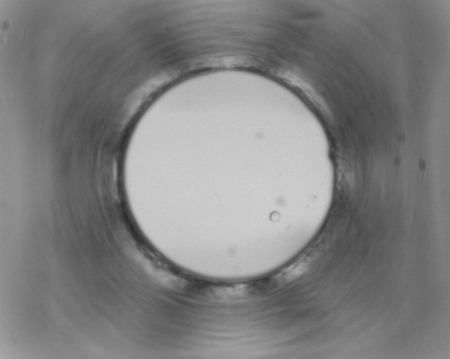 X0000077400110200611172114